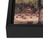 Blush Sky Cactus Framed Canvas Print Gallery Image 3
