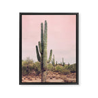 Blush Sky Cactus Framed Canvas Print Gallery Image 6