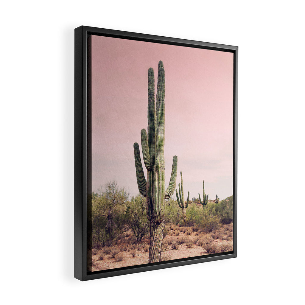 Blush Sky Cactus Framed Canvas Print Gallery Image 2