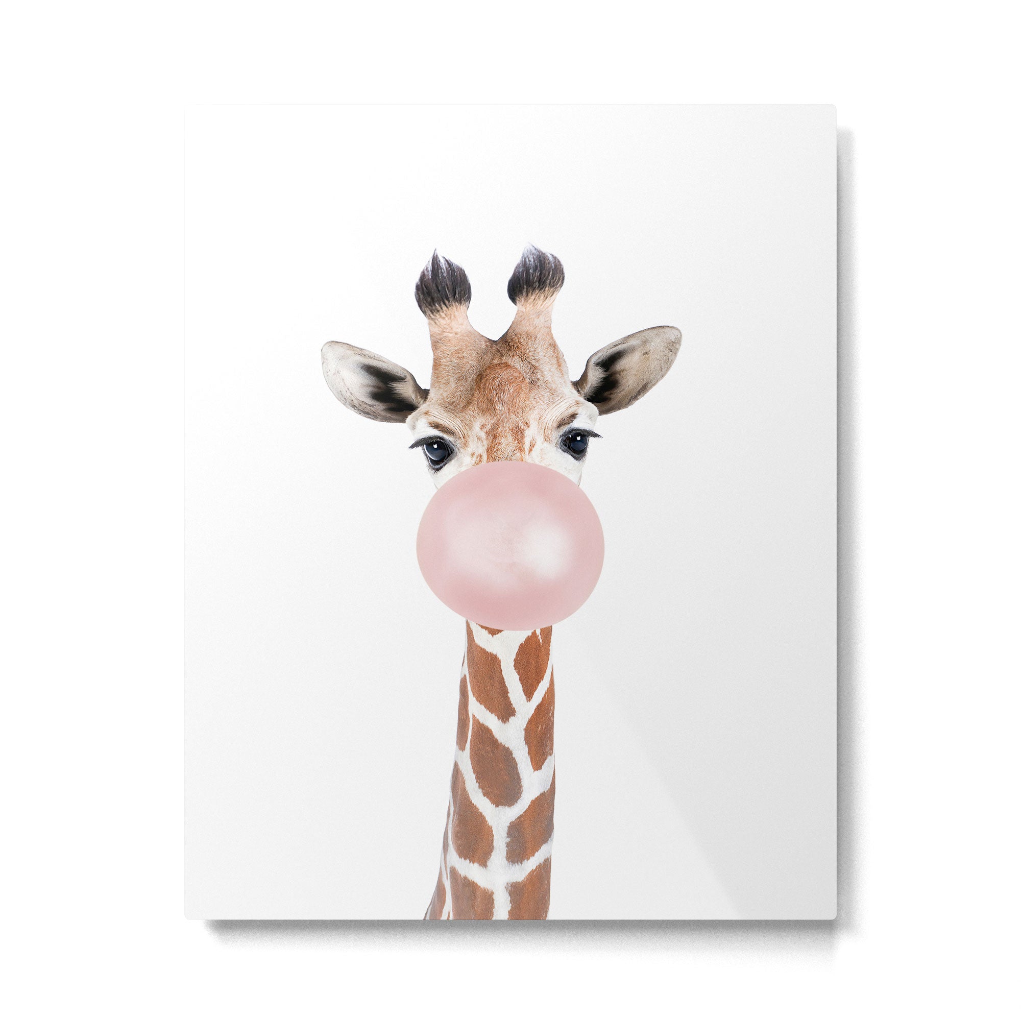 Bubble gum giraffe Metal Print Gallery Image 4