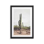 Cactus Land Framed Art Print Gallery Image 2
