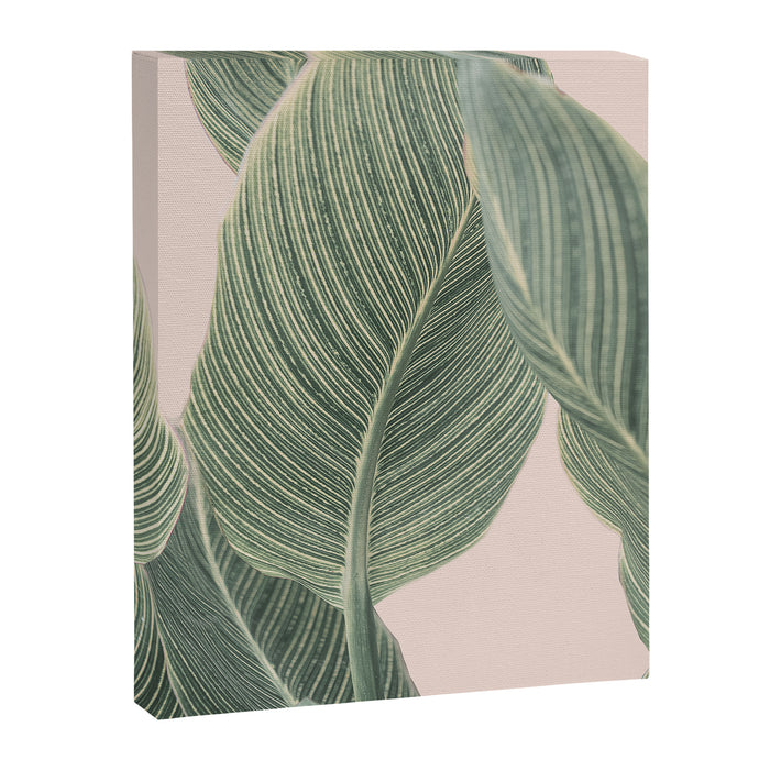 Calah Canvas Print Gallery Image 1