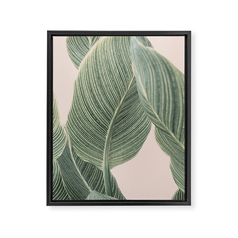Calah Framed Canvas Print Gallery Image 6