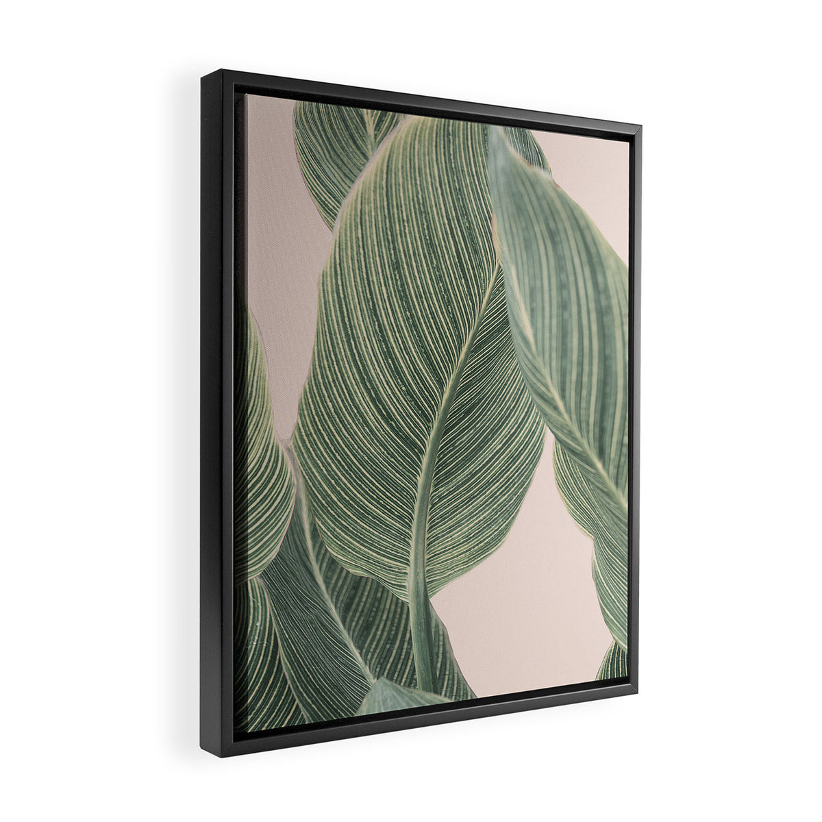 Calah Framed Canvas Print Gallery Image 2