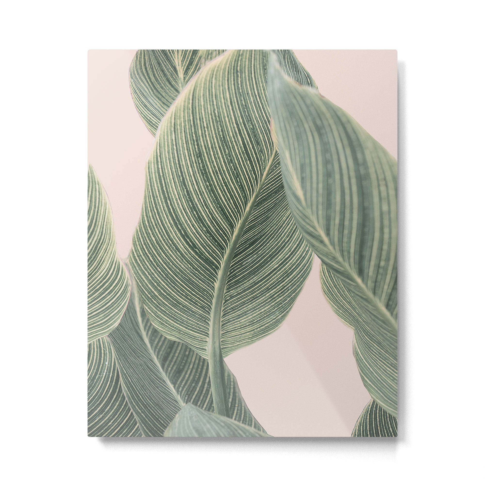 Calah Metal Print Gallery Image 4