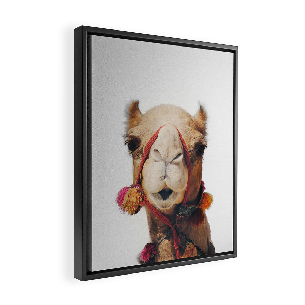 Camel Framed Canvas Print Gallery Image 2