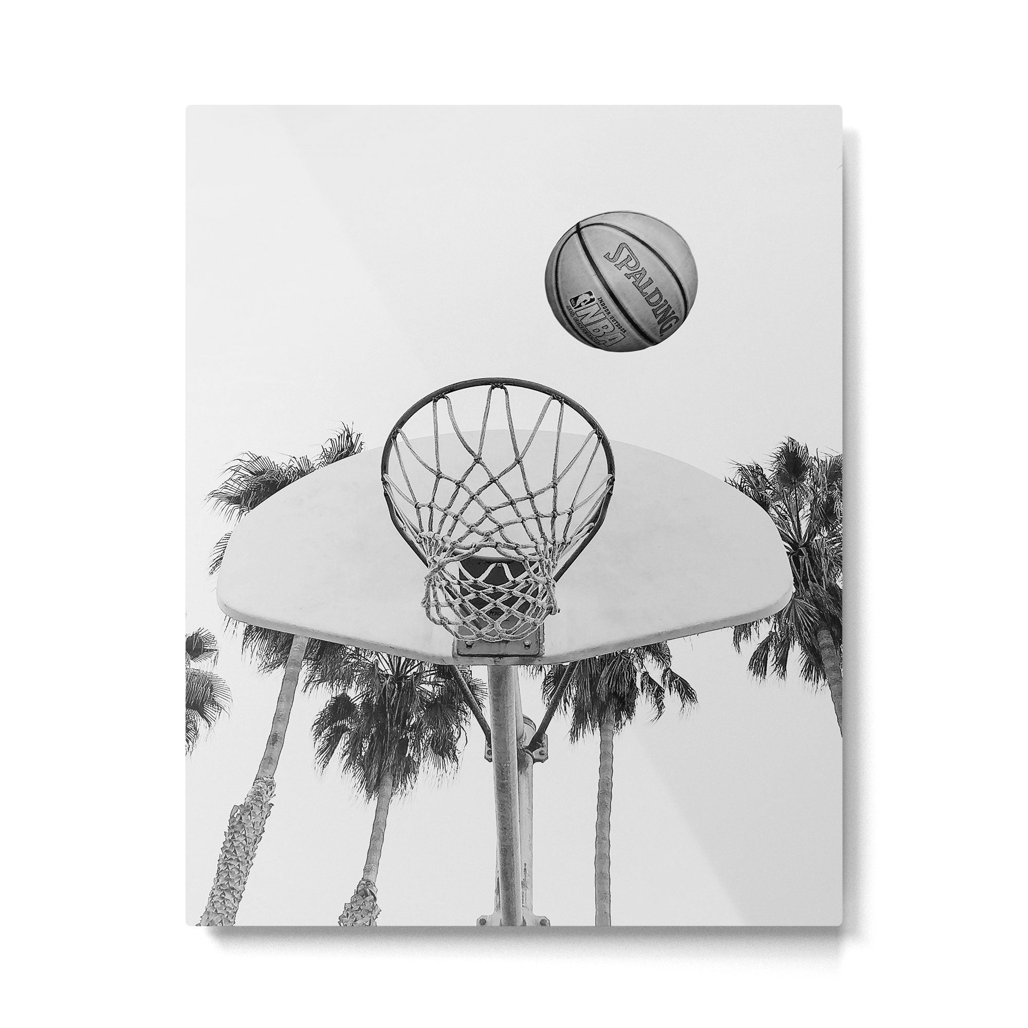 Coastal basketball Metal Print Gallery Image 4