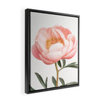 Coral Peony Framed Canvas Print Gallery Image 2