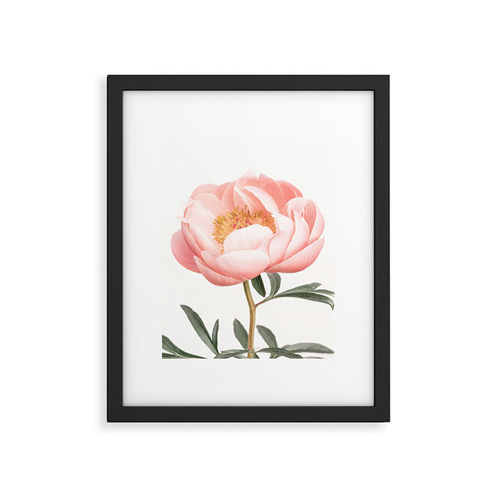 Coral Peony Framed Art Print Gallery Image 1