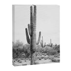 Desert Cactus BW Canvas Print Gallery Image 6