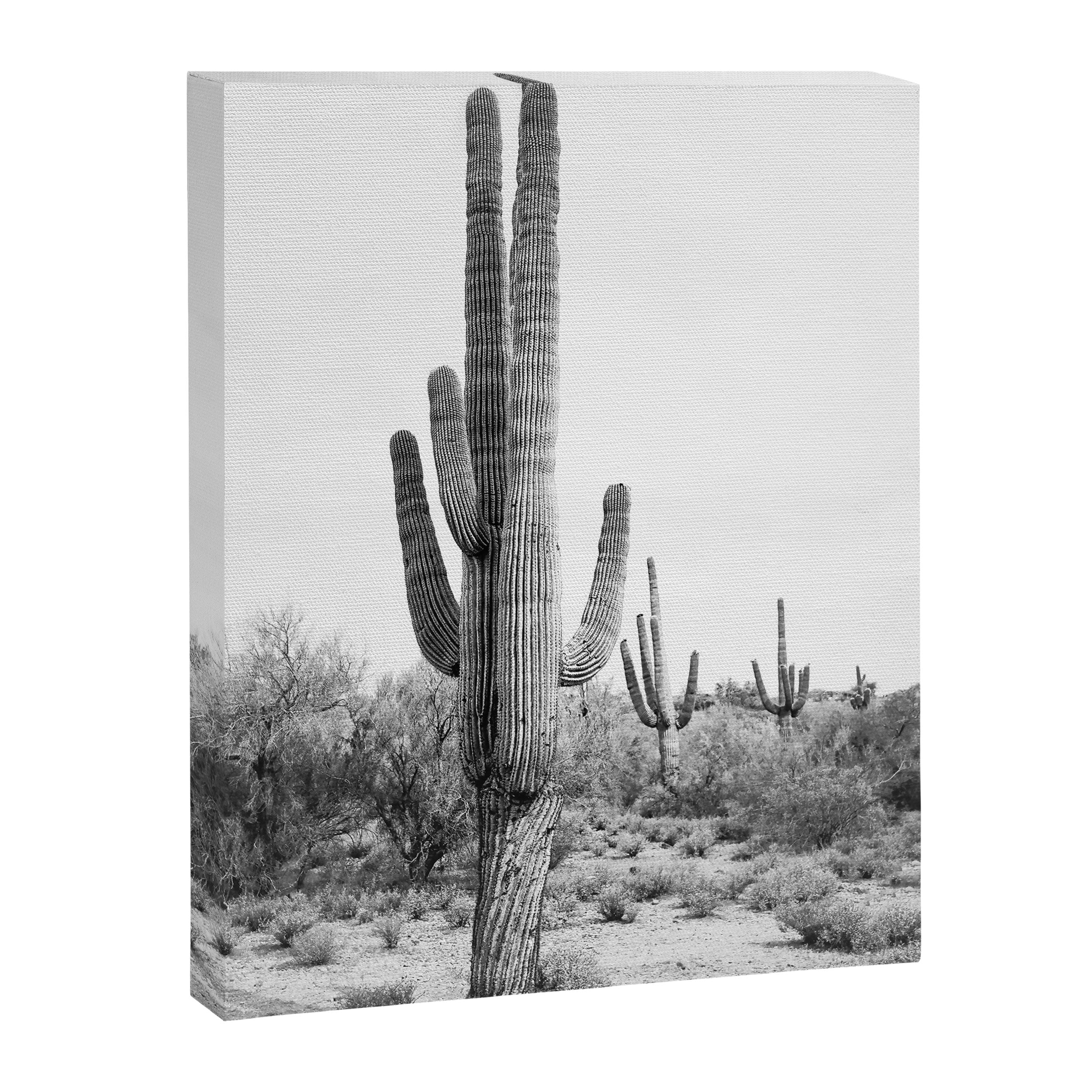 Desert Cactus BW Canvas Print Gallery Image 6