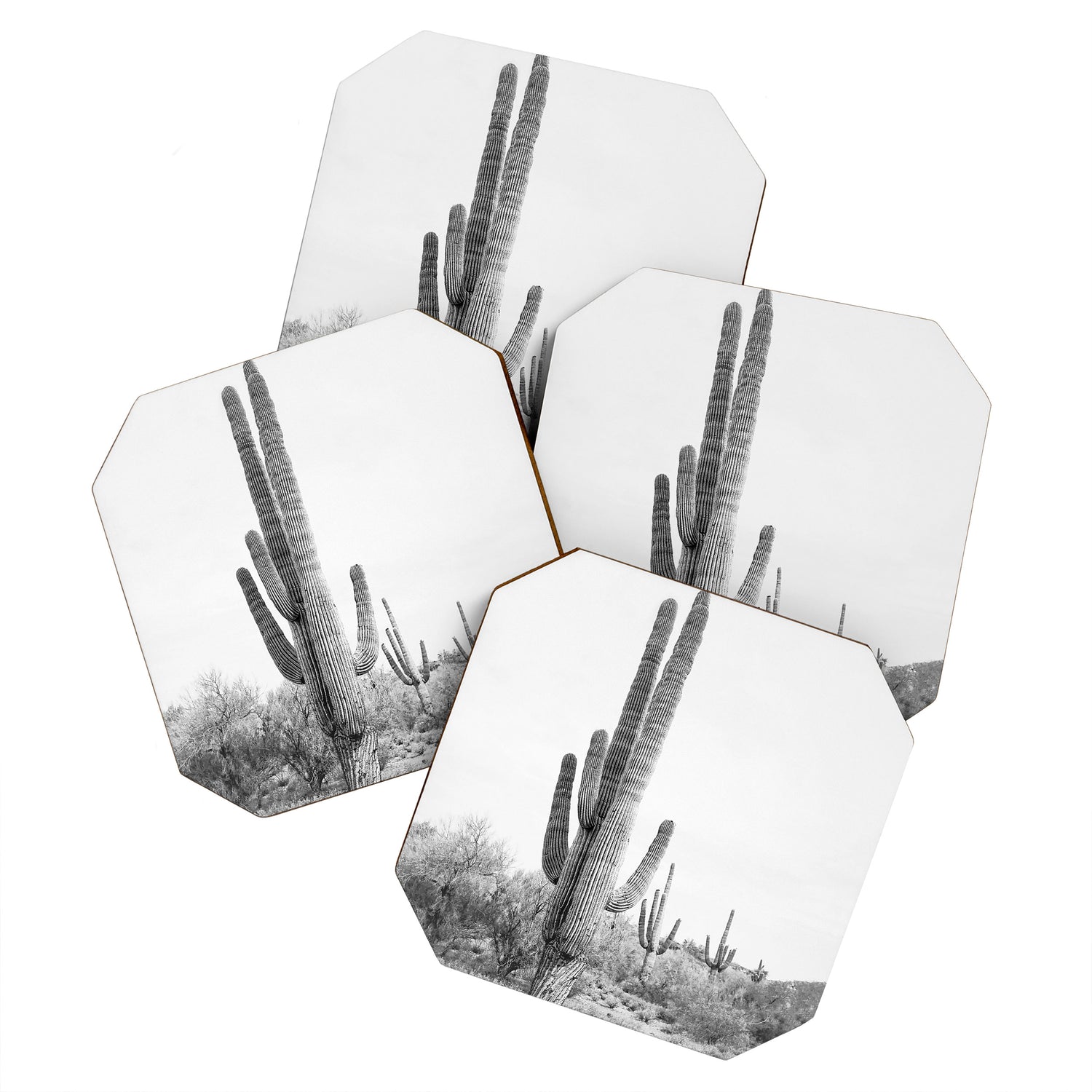 Desert Cactus BW Coaster Gallery Image 1
