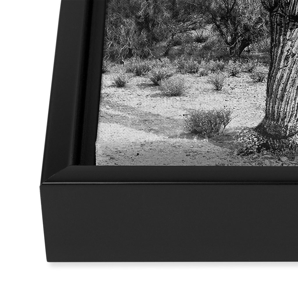 Desert Cactus BW Framed Canvas Print Gallery Image 3