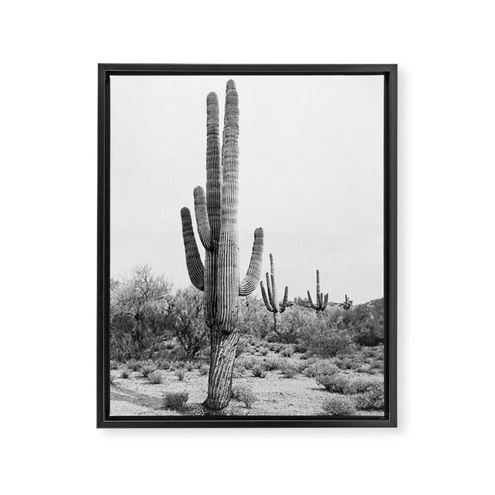 Desert Cactus BW Framed Canvas Print Gallery Image 1