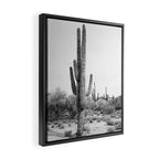 Desert Cactus BW Framed Canvas Print Gallery Image 2