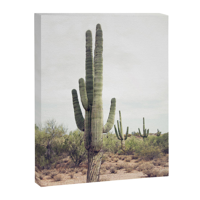 Desert Cactus Canvas Print Gallery Image 1