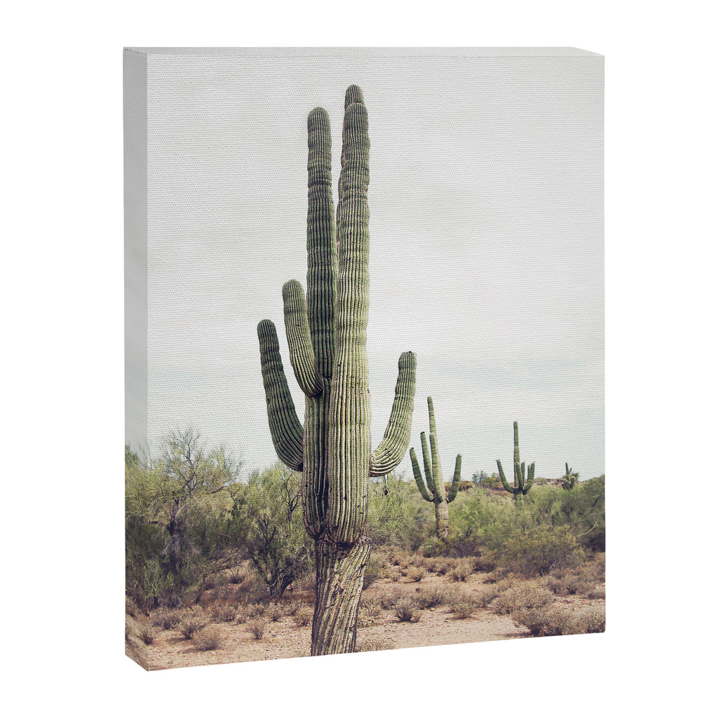 Desert Cactus Canvas Print Gallery Image 6