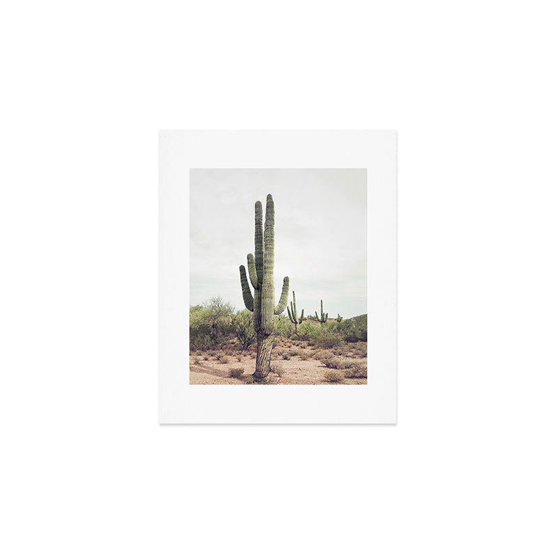 Desert Cactus Art Print Gallery Image 1