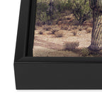 Desert Cactus Framed Canvas Print Gallery Image 3