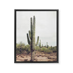 Desert Cactus Framed Canvas Print Gallery Image 6