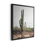 Desert Cactus Framed Canvas Print Gallery Image 2