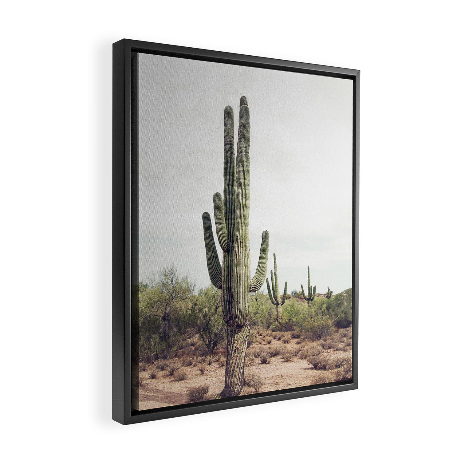Desert Cactus Framed Canvas Print Gallery Image 2
