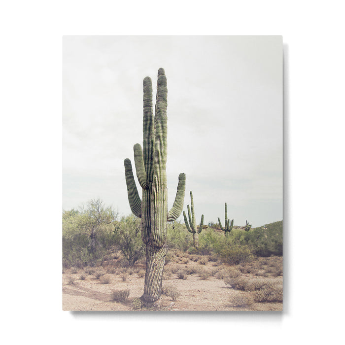 Desert Cactus Metal Print Gallery Image 1