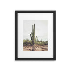Desert Cactus Framed Art Print Gallery Image 5