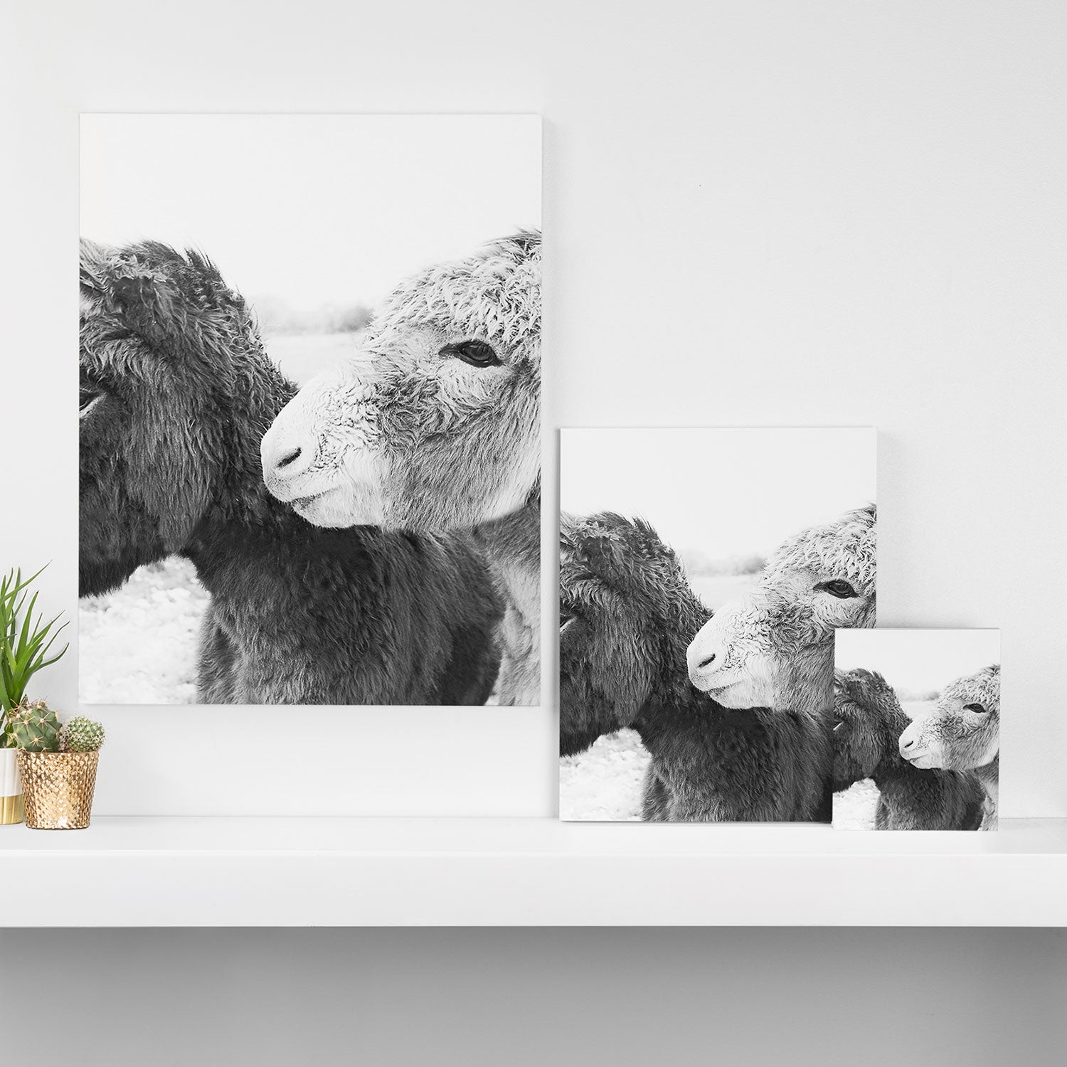 Donkey Love Canvas Print Gallery Image 3