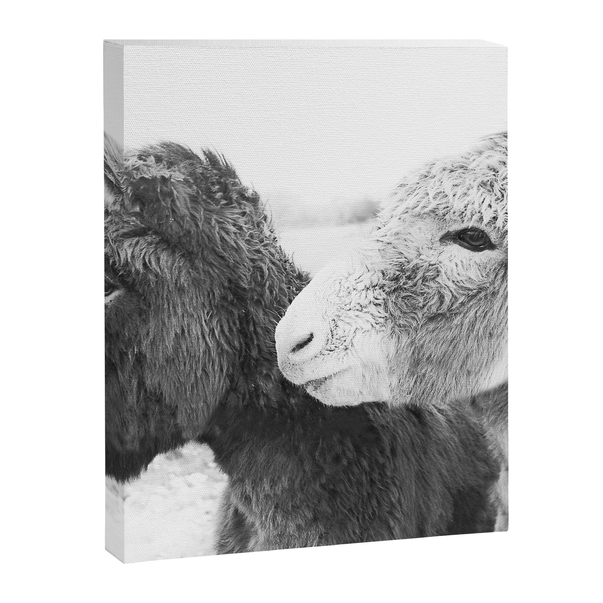Donkey Love Canvas Print Gallery Image 6
