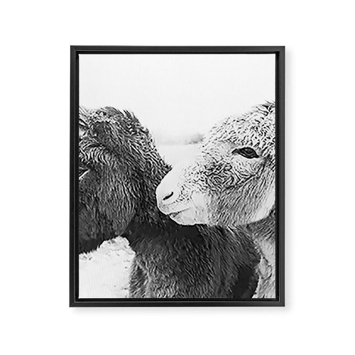 Donkey Love Framed Canvas Print Gallery Image 1