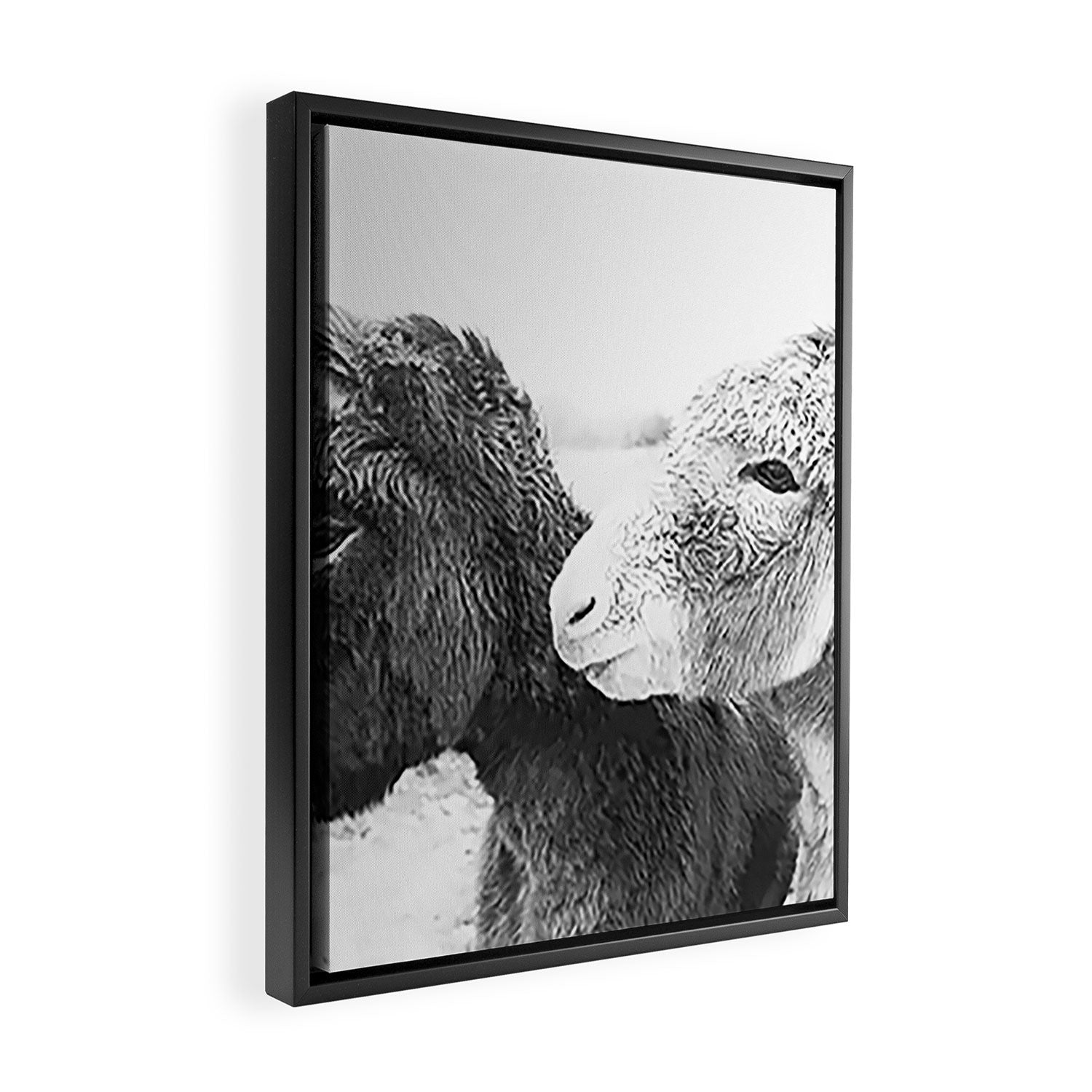 Donkey Love Framed Canvas Print Gallery Image 2