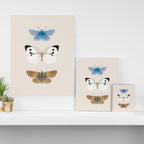 English Butterflies Canvas Print Gallery Image 3
