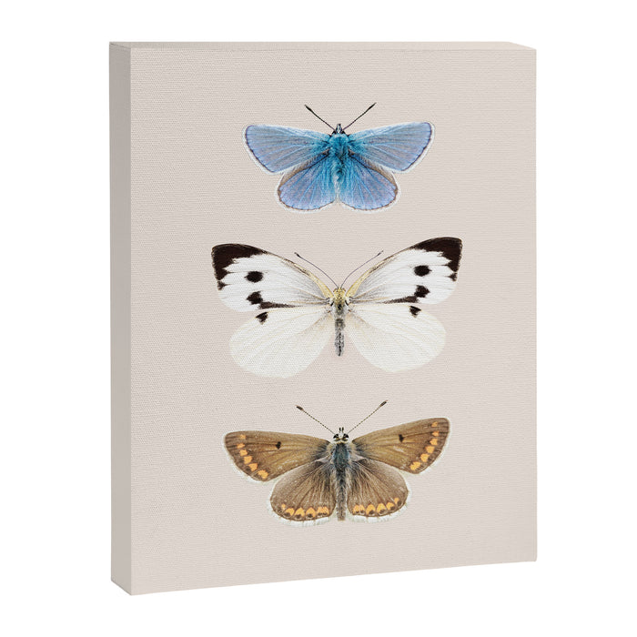 English Butterflies Canvas Print Gallery Image 1