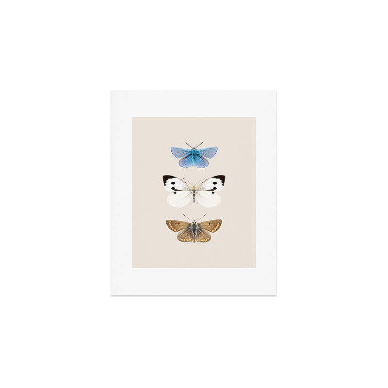 English Butterflies Art Print Gallery Image 1