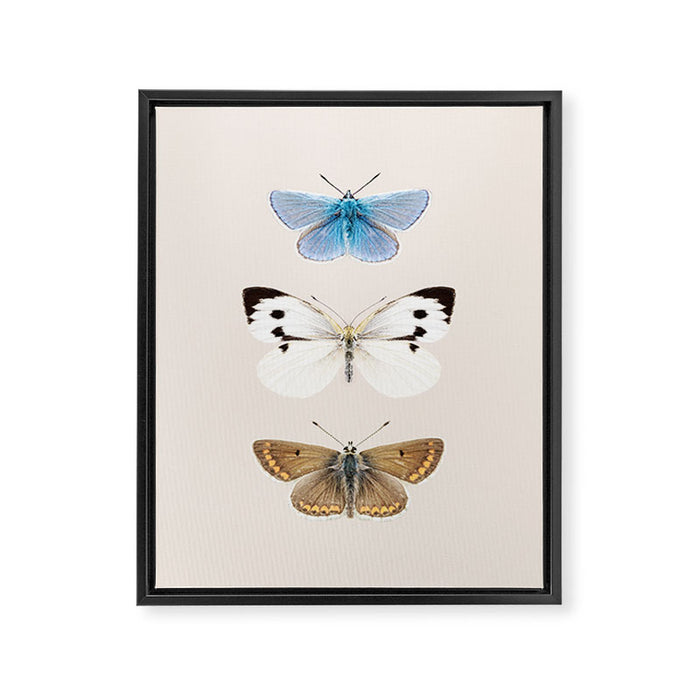 English Butterflies Framed Canvas Print Gallery Image 1