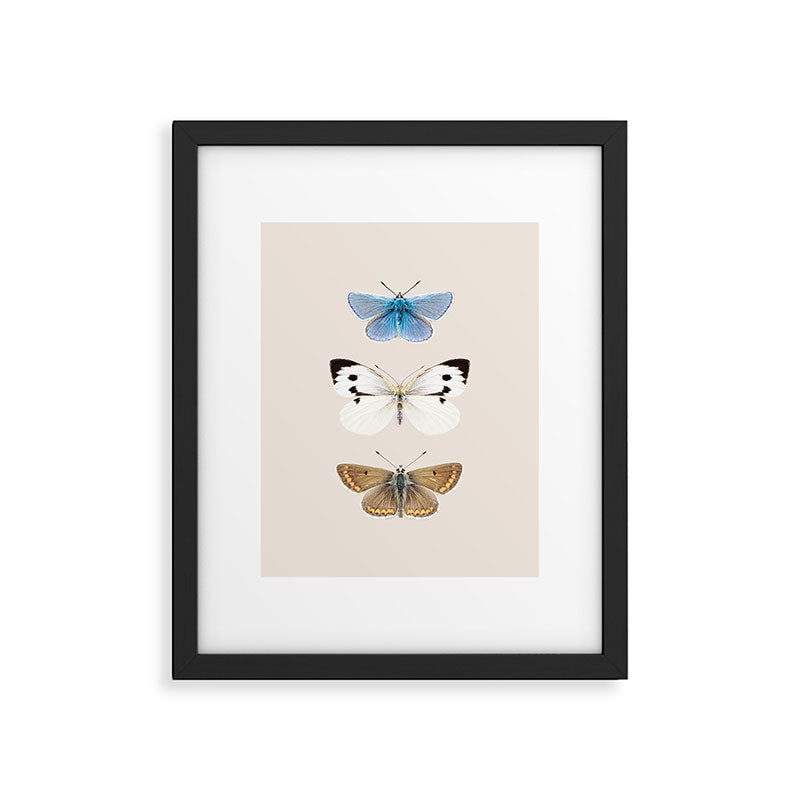 English Butterflies Framed Art Print Gallery Image 5