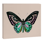 Funky Butterfly Canvas Print Gallery Image 6