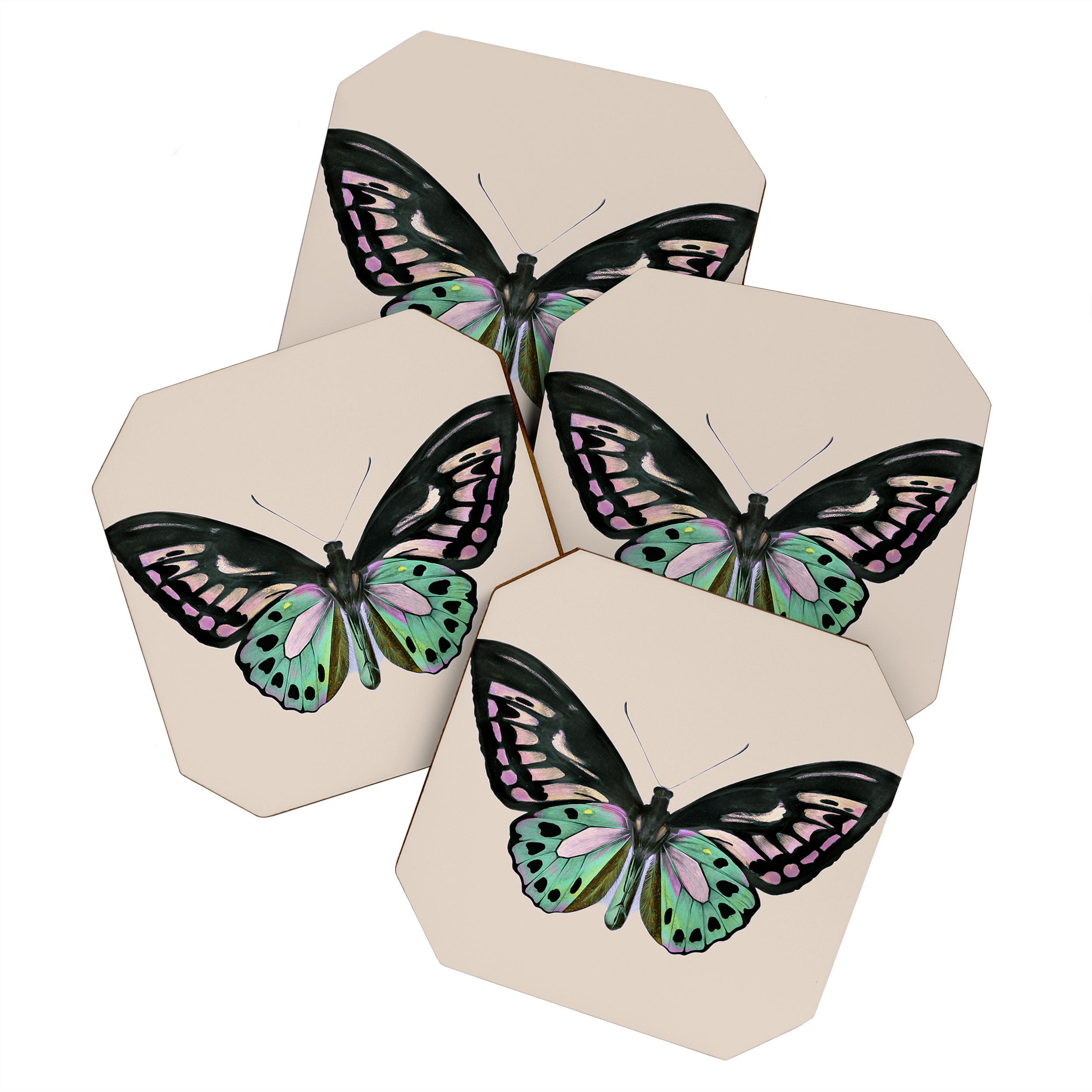 Funky Butterfly Coaster Gallery Image 1