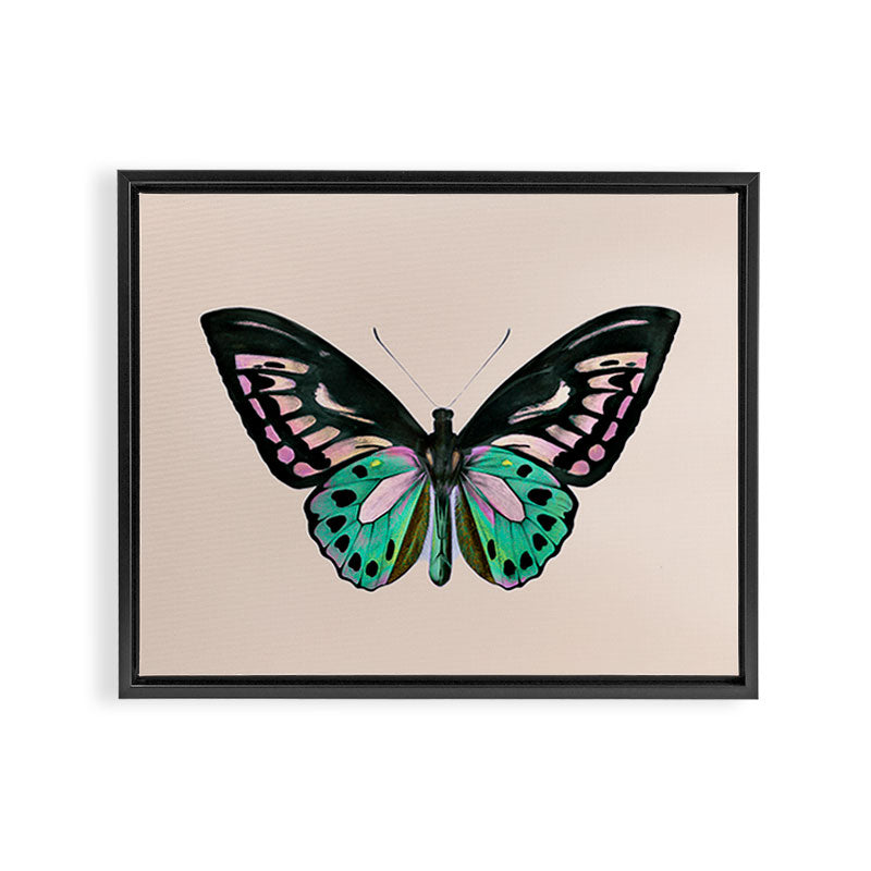 Funky Butterfly Framed Canvas Print Gallery Image 6