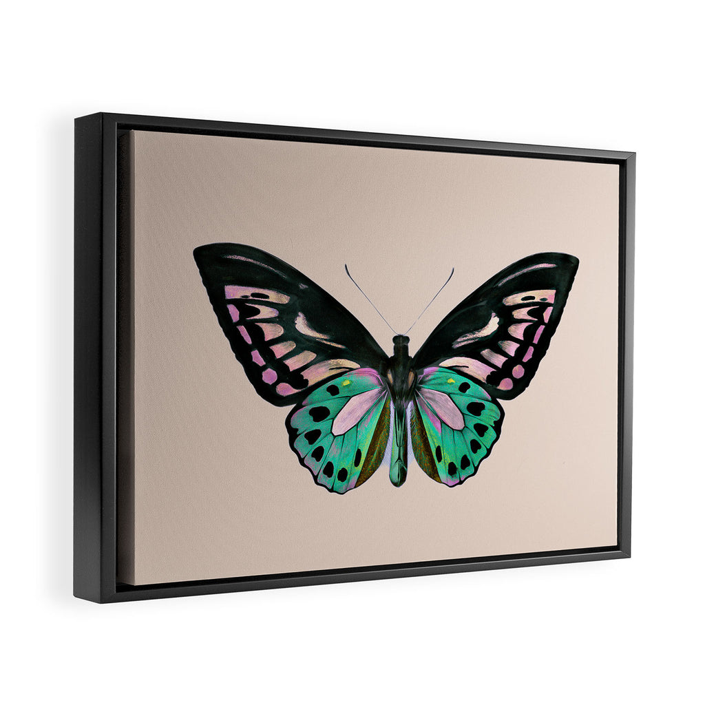 Funky Butterfly Framed Canvas Print Gallery Image 2