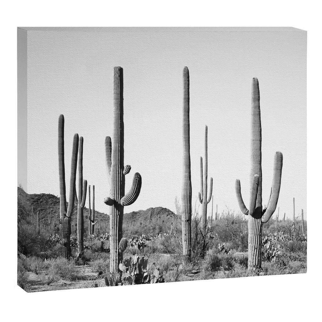 Grey Cactus Land Canvas Print Gallery Image 6