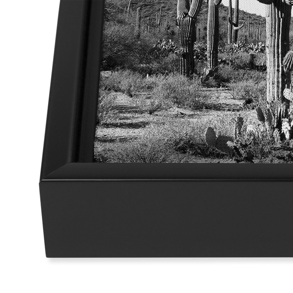 Grey Cactus Land Framed Canvas Print Gallery Image 3