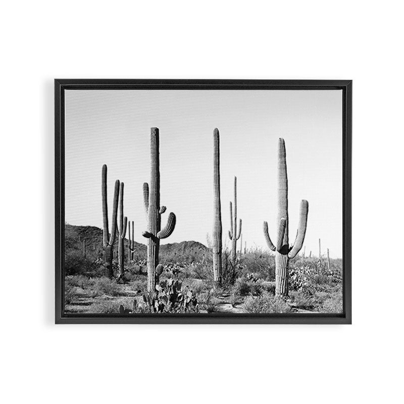Grey Cactus Land Framed Canvas Print Gallery Image 6