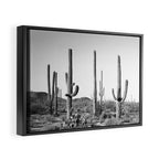 Grey Cactus Land Framed Canvas Print Gallery Image 2