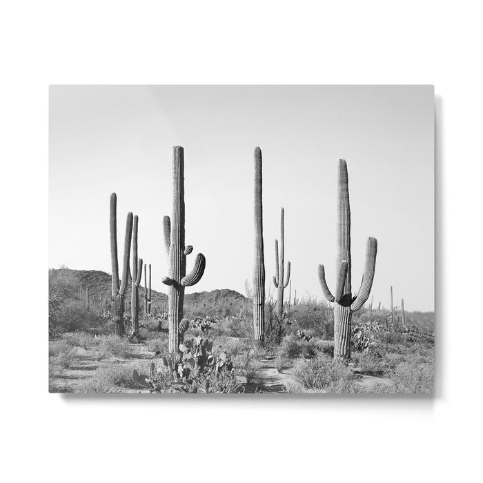 Grey Cactus Land Metal Print Gallery Image 1
