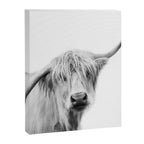 Hey Cow Canvas Print Gallery Image 6