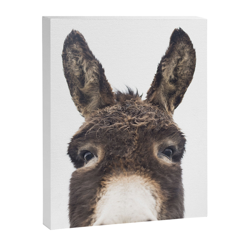 Hey Donkey Canvas Print Gallery Image 6