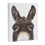 Hey Donkey Canvas Print Gallery Image 6