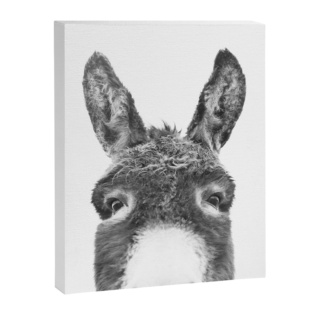Hey Donkey BW Canvas Print Gallery Image 6